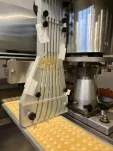 Blister Packing Machine TR100L | IMA - 9