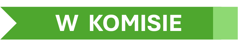 W KOMISIE